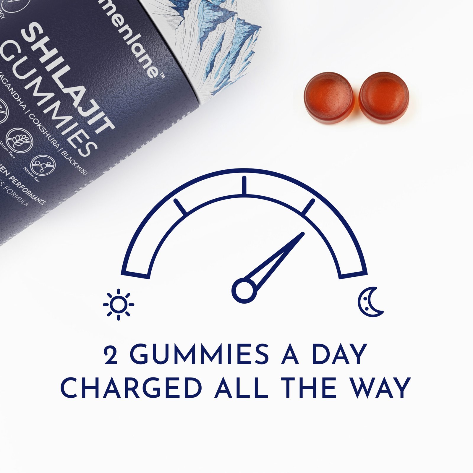 Shilajit Power Gummies - Image 6